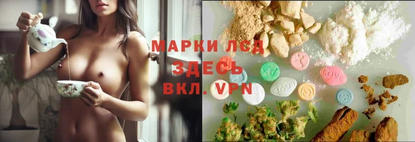 дмт Абаза